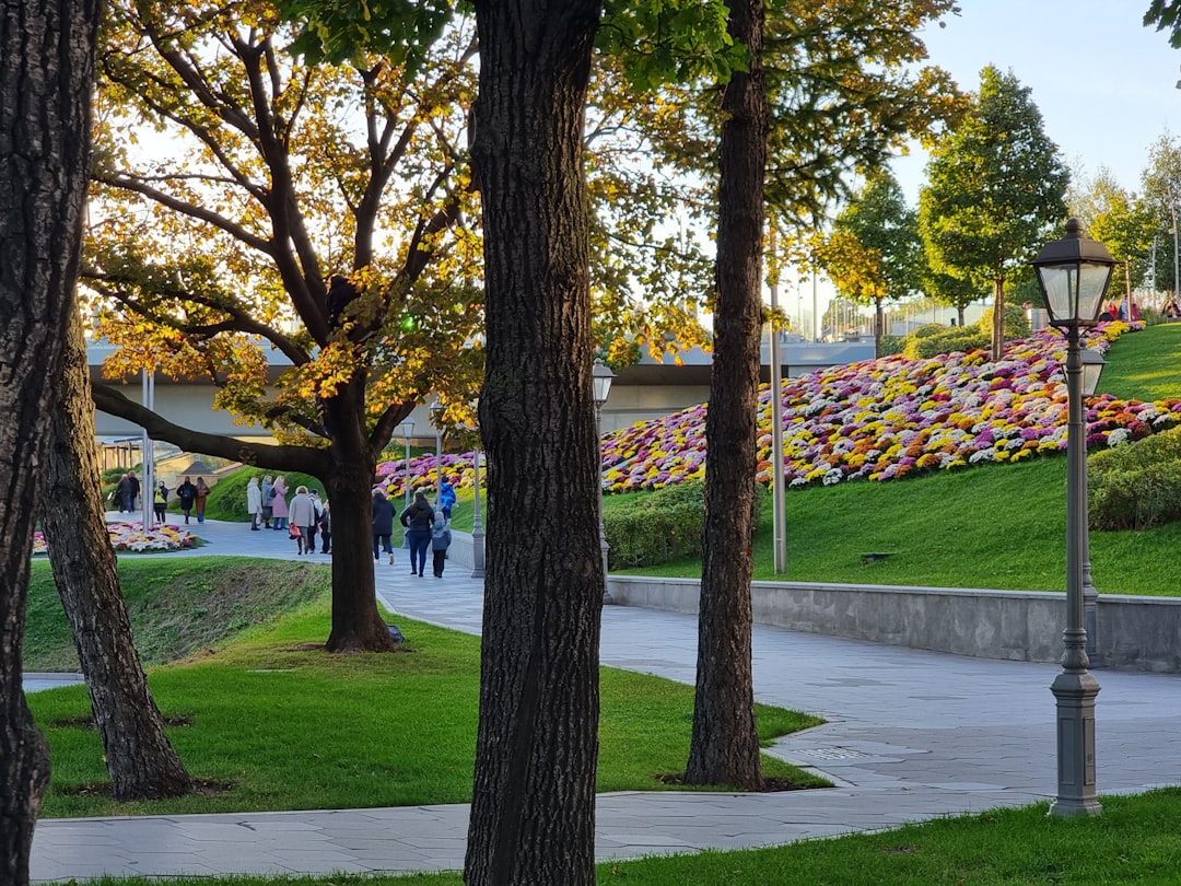 Gophers' Road to Glory: Madison Tournament Adventure Begins