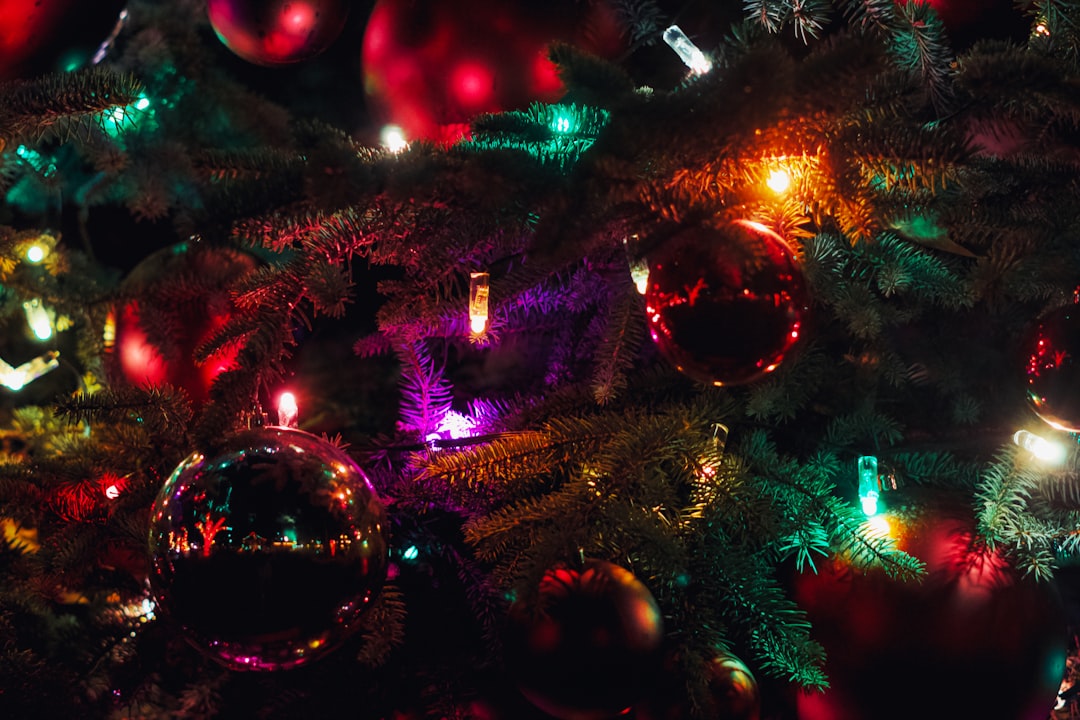 Griswold House Christmas Vacation: Ultimate Family Fun Guide