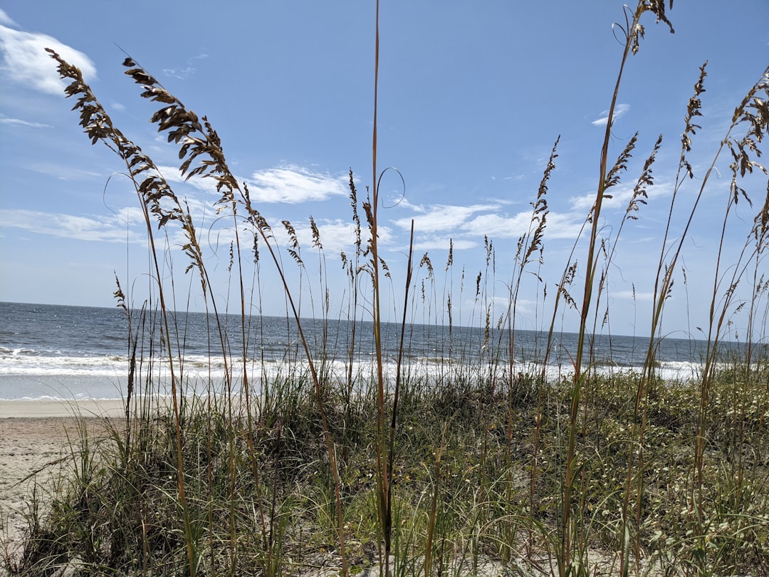 Gulf Shores Vacation Home Rentals: Your Guide to Beachfront Bliss