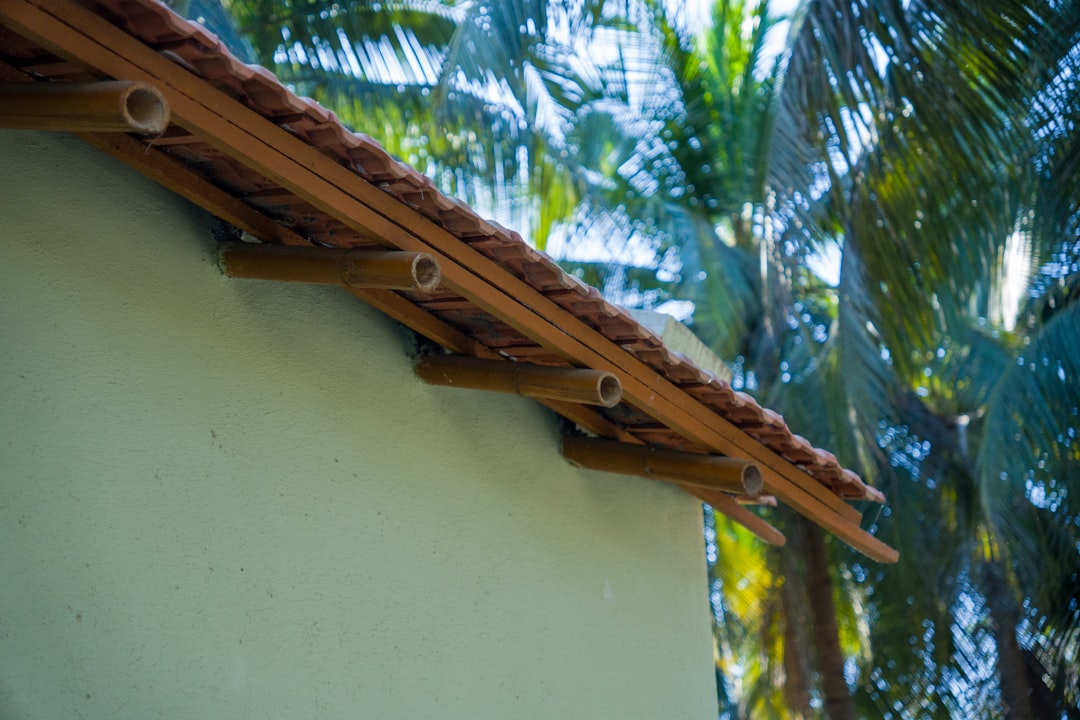 Gutter Whiskers: Ultimate Leaf Guard Solution for Roof Protection