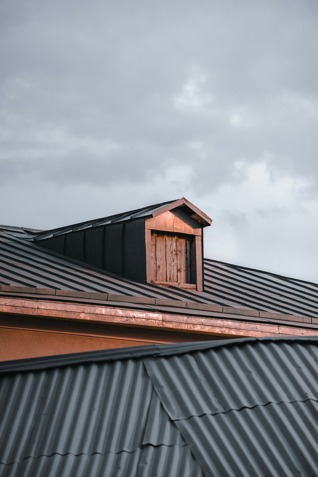 Hail Damage Insurance Adjuster Guide: Roof Inspection & Claim Success