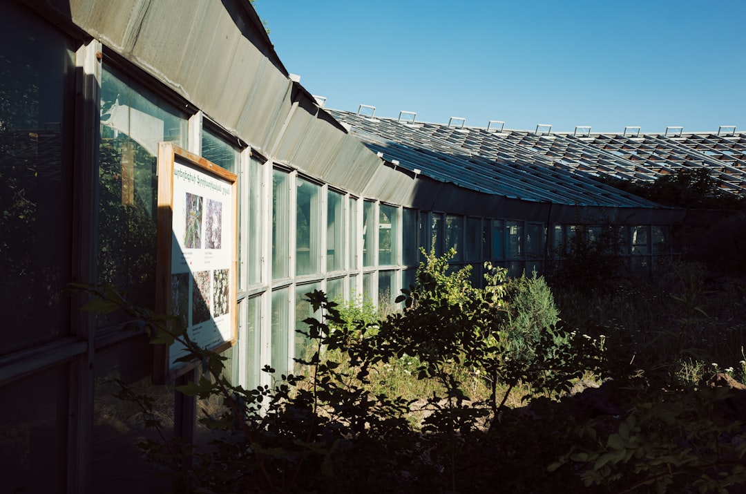 Hanergy Tiles Review: Solar Roofing Solutions for Texas Homes