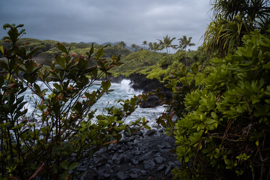 Hawaii Vacation Guide: Tropical Paradise & Island Adventures