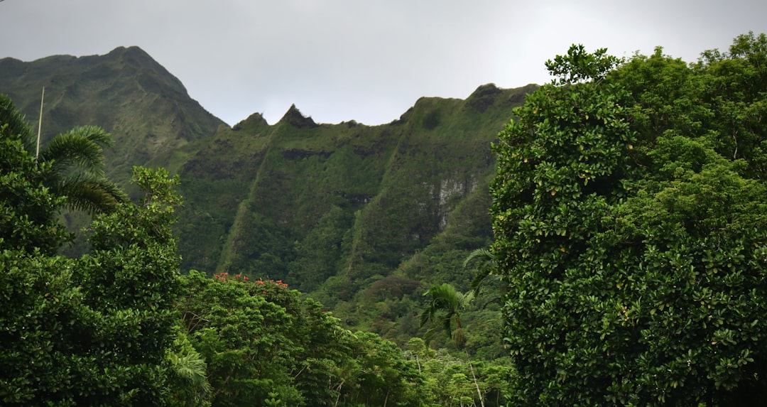 Hawaii Vacation Guide: Tropical Paradise & Island Hopping