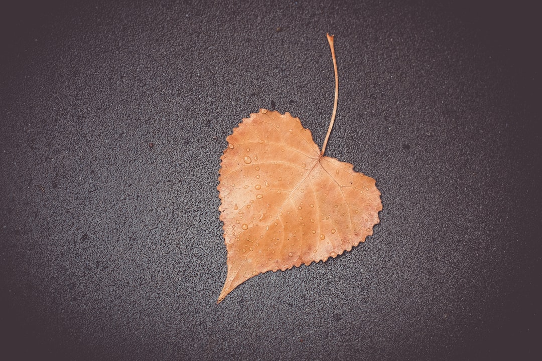 My Heartbreak Led Me to China: How I Found True Happiness
