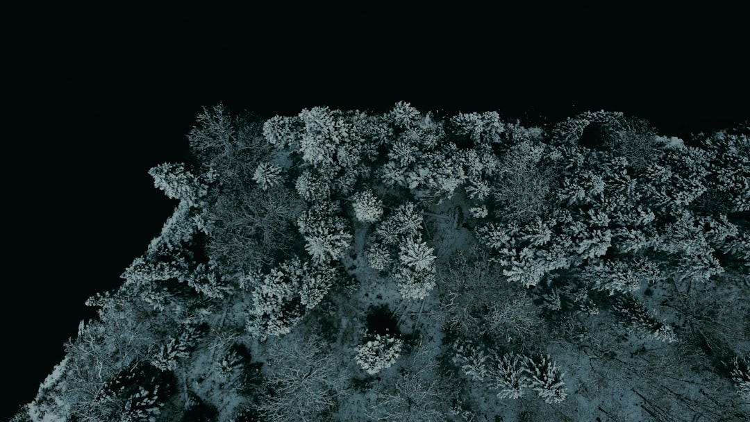 Hilton Grand Vacations Club Ocean 22 Myrtle Beach Resort Review & Tips