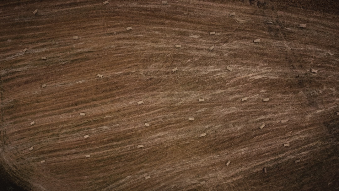 Hilton Grand Vacations Club Ocean Tower Waikoloa Village: Luxury Hawaii Resort Guide & Tips