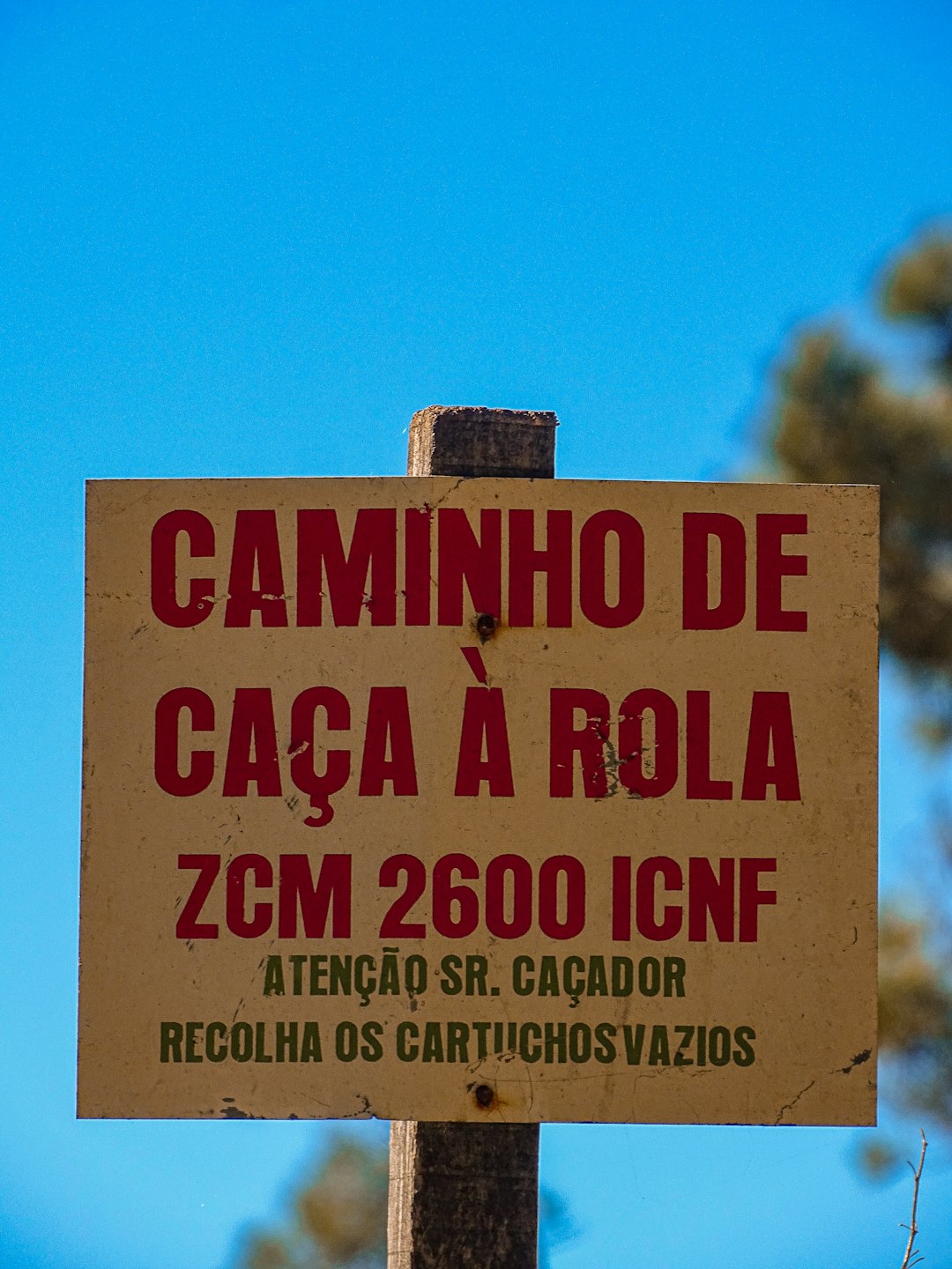 Hilton Vacation Club Cabo Azul Los Cabos: Luxury Resort Review