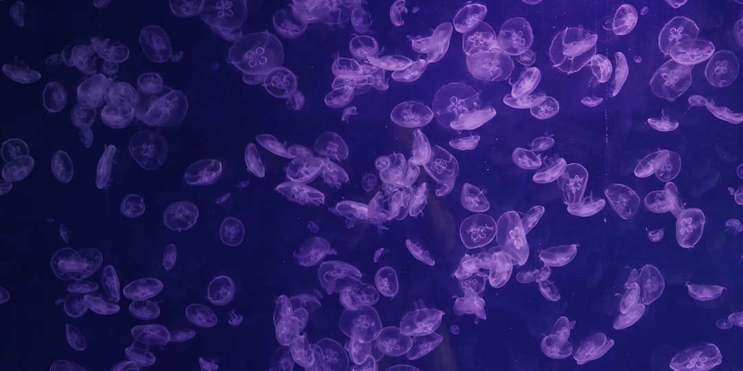 Hilton Vacation Club Oceanaire Virginia Beach: Oceanfront Resort Guide & Tips