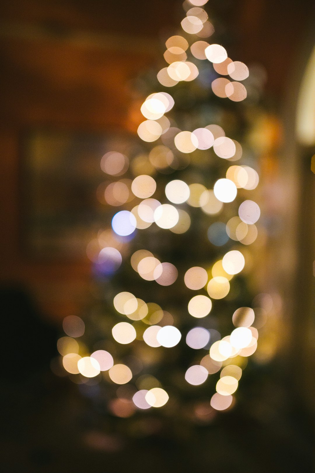 Holiday Flight Secrets: When to Book & Save Big