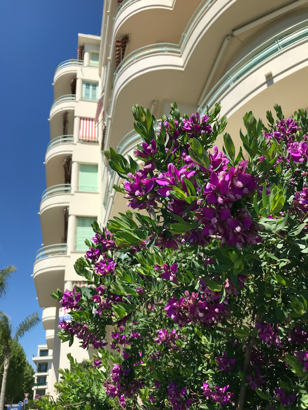 Holiday Inn Club Vacations Cape Canaveral Beach Resort Review & Family Guide