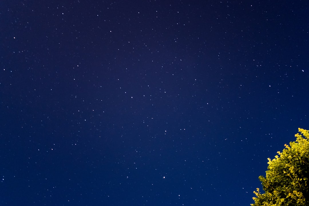 Holiday Inn Club Vacations Login Guide: Easy Access & Travel Tips