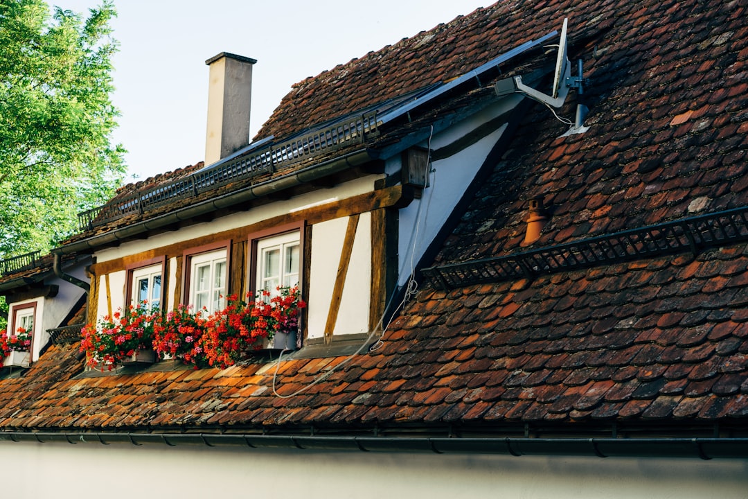 Homeowners Claim for Roof Leak: Insurance Secrets & Repair Costs