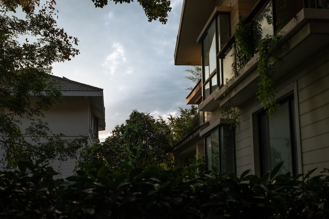 Homeowners Insurance Denied Roof Claim? Expert Guide to Appeal & Win