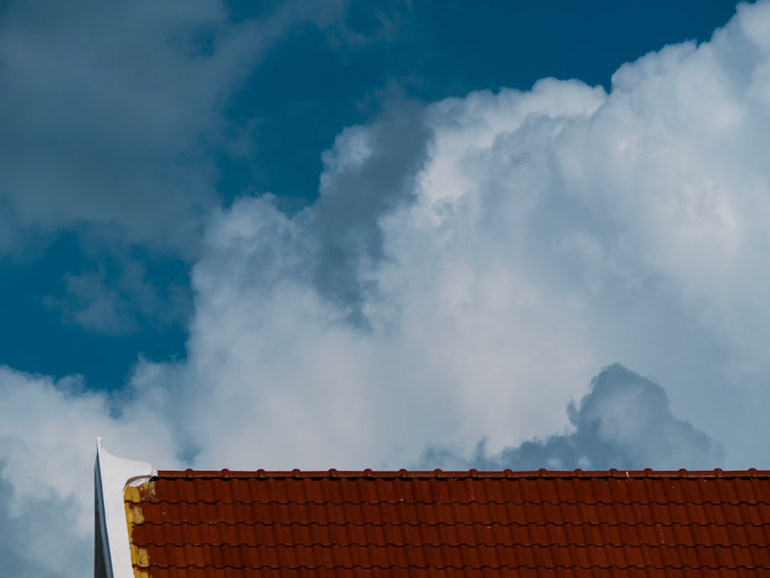 Homeowners Insurance Roof Claim Guide: Storm Damage & Repair Costs