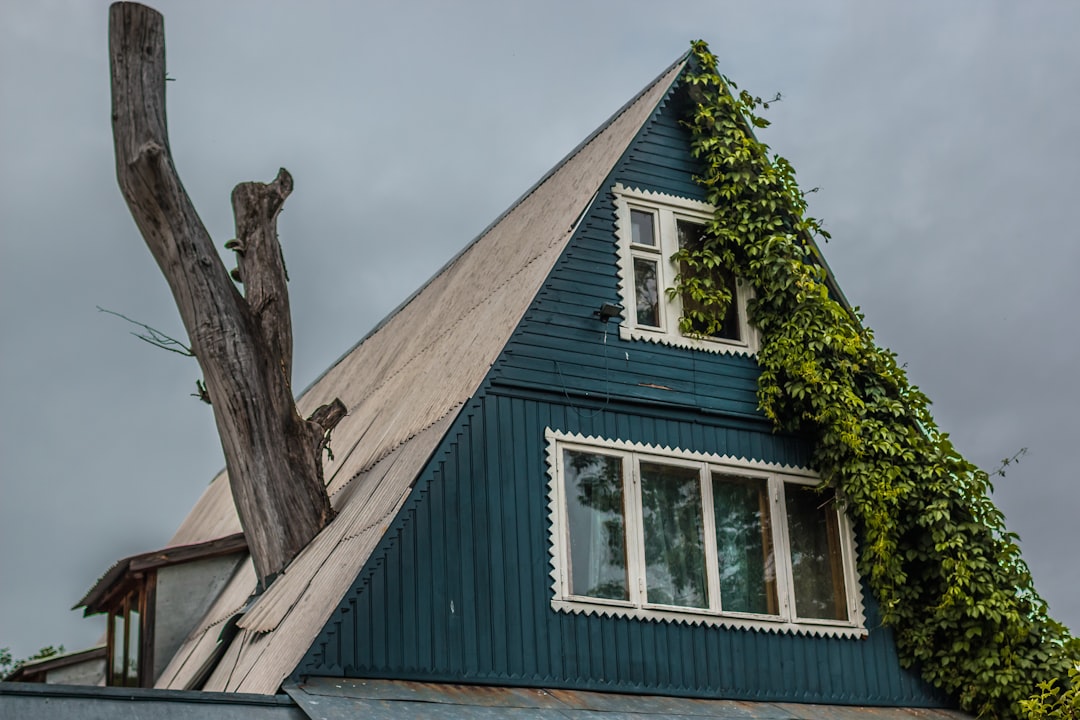 Homeowners Insurance Wind Damage Roof Claims: A Roofer's Guide to Protection