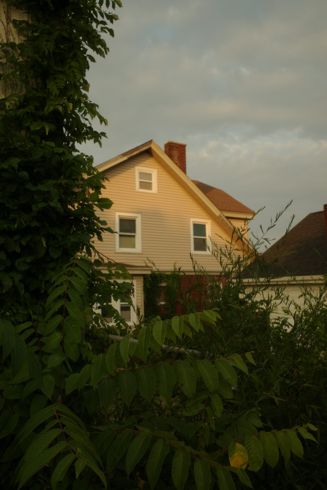 Homeowners Roof Claim Guide: Storm Damage & Insurance Process