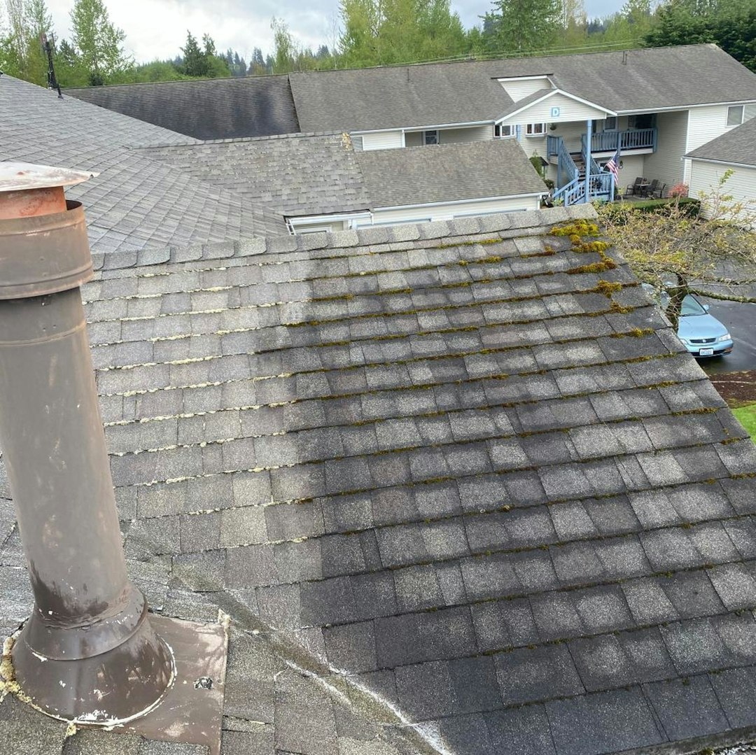 House Roof Lining Repair Cost Guide & Solutions