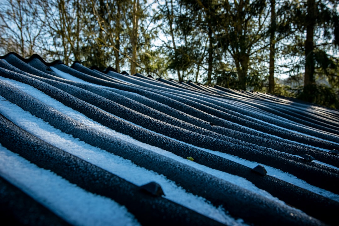 In Roof Solar Panels: Complete Guide for Homeowners & Roofing