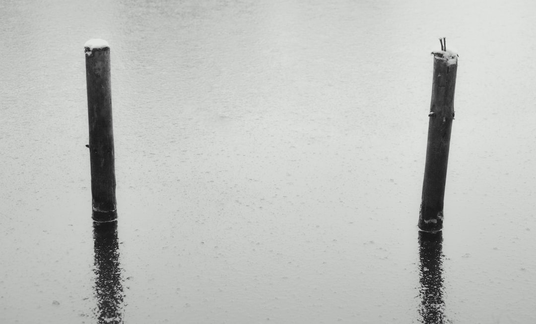 Inside Carillon Miami: Wellness Secrets Revealed