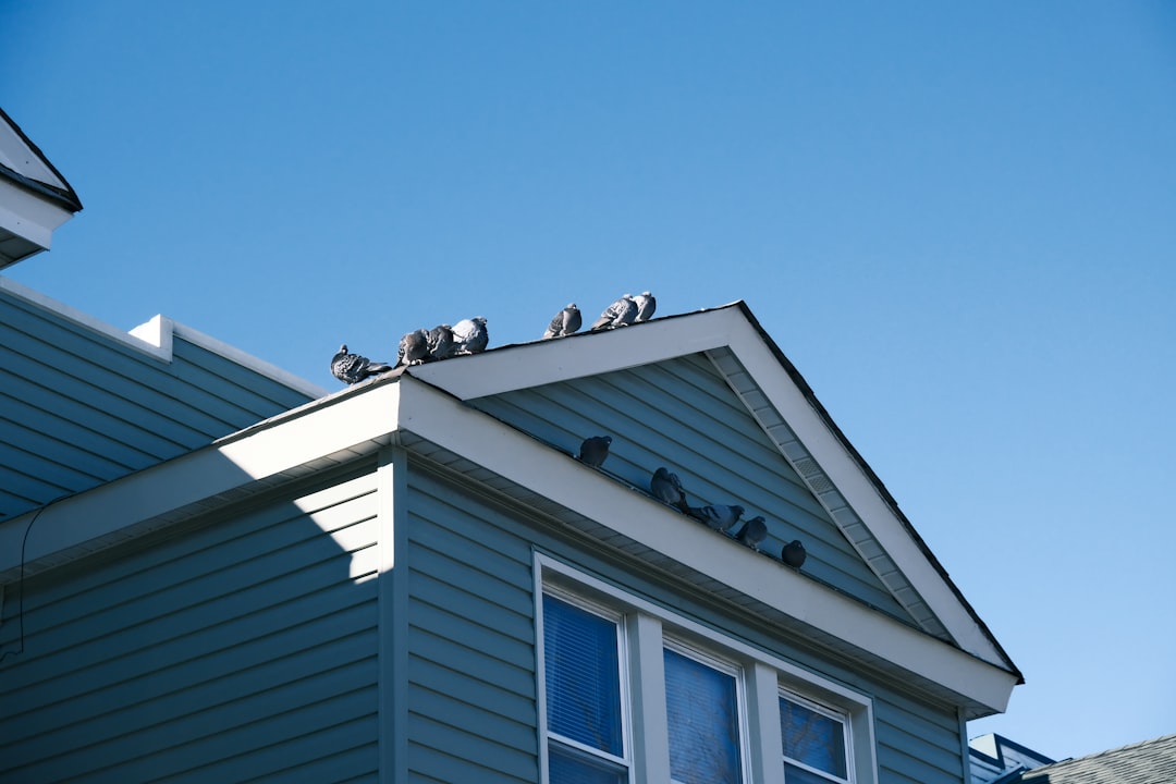 Install Solar Panels on Roof: Roof Inspection & Energy Savings Guide