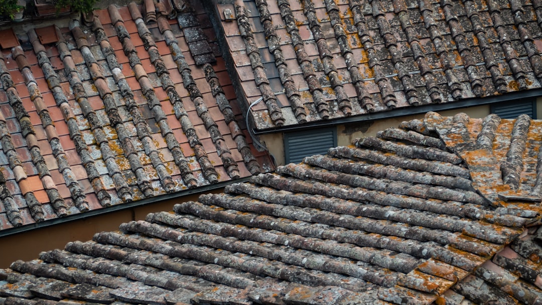 Insurance Adjuster Roof Wind Damage: A Roofer's Guide to Claims