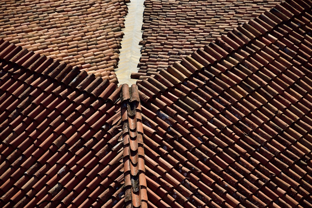 Insurance Claim Hail Damage: Roof Repair Guide