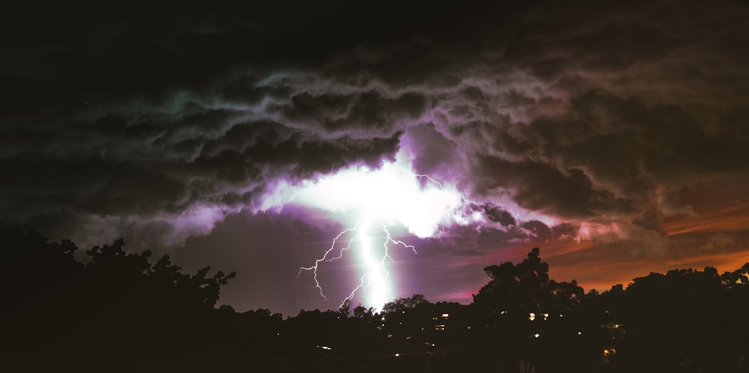 Insurance Claim on Roof Leak: Expert Guide & Storm Damage Tips