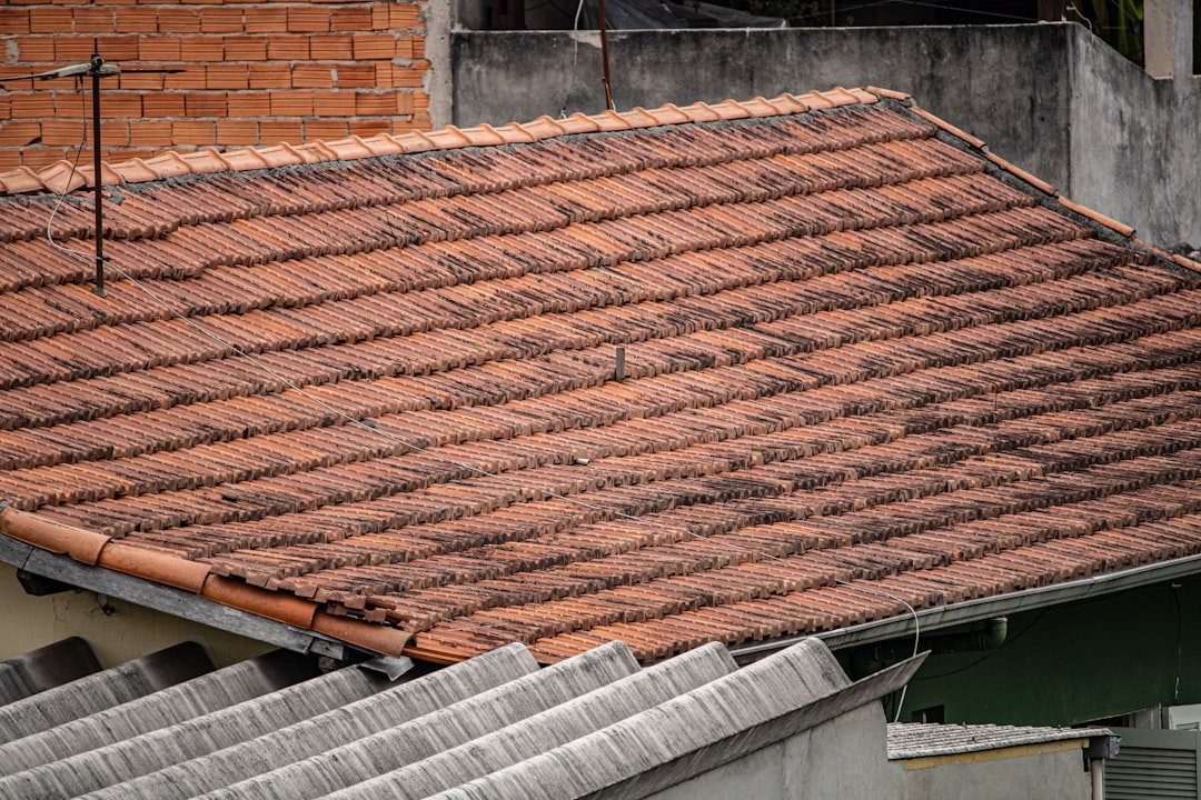 Insurance Claim Wind Damage Roof: Expert Repair Guide