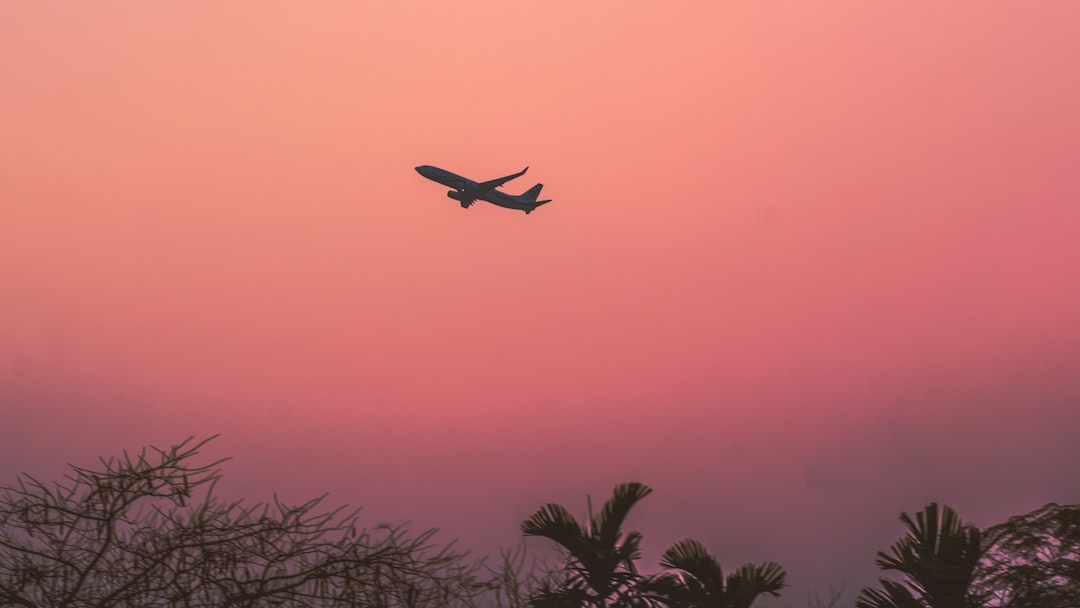 International Airfare Deals Soar as Global Travel Declines
