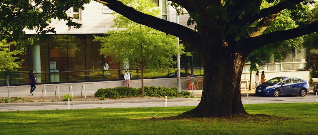 Iowa State Study Abroad: Springboard for Future Travel