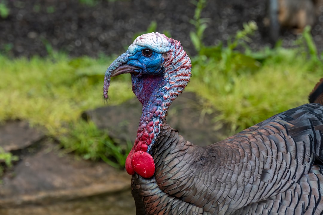 Is It Safe to Travel to Turkey Right Now? Travel Safety Guide 2025