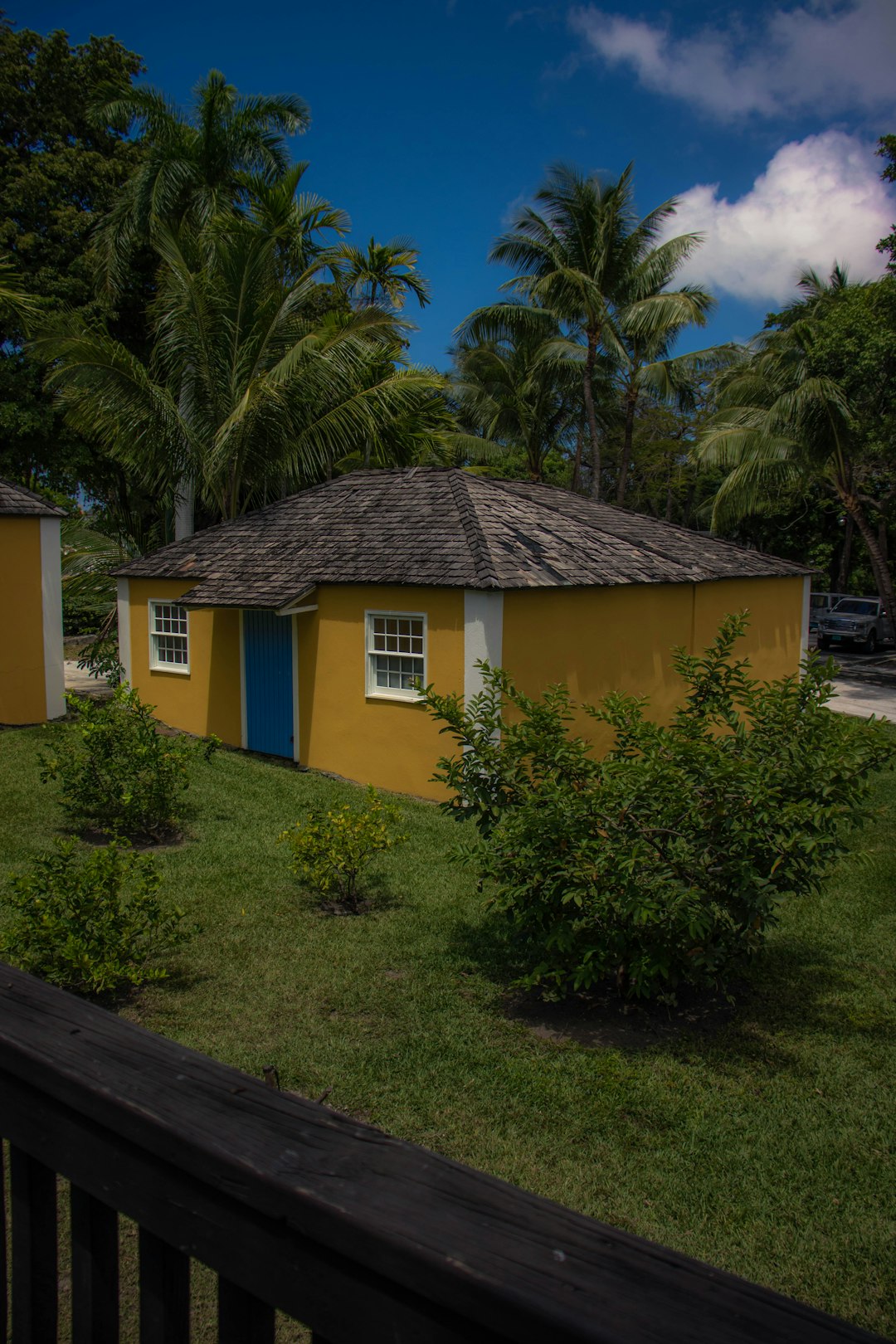 Jamaica Vacation Packages: All-Inclusive Deals & Caribbean Getaways