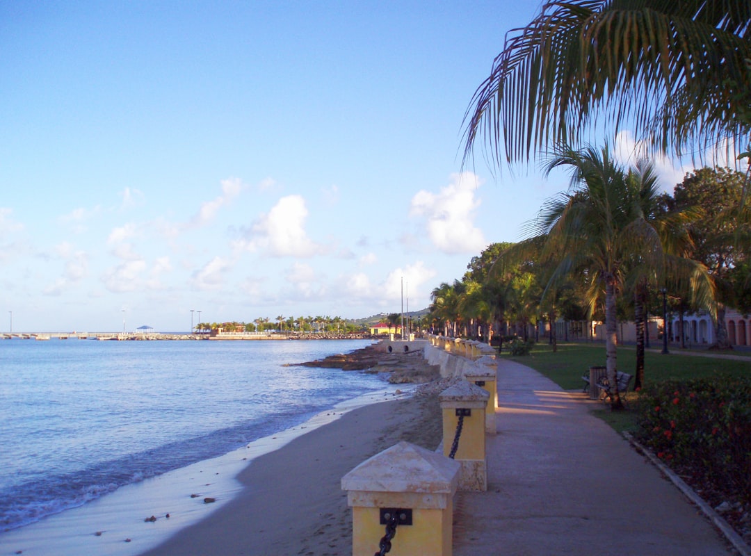 Jamaica Vacation Packages: All-Inclusive Deals & Island Tours