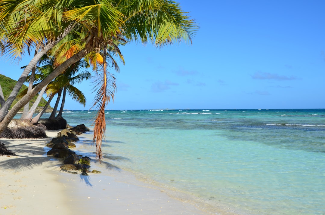 JetBlue Vacations: Your Guide to Easy Caribbean & Florida Getaways