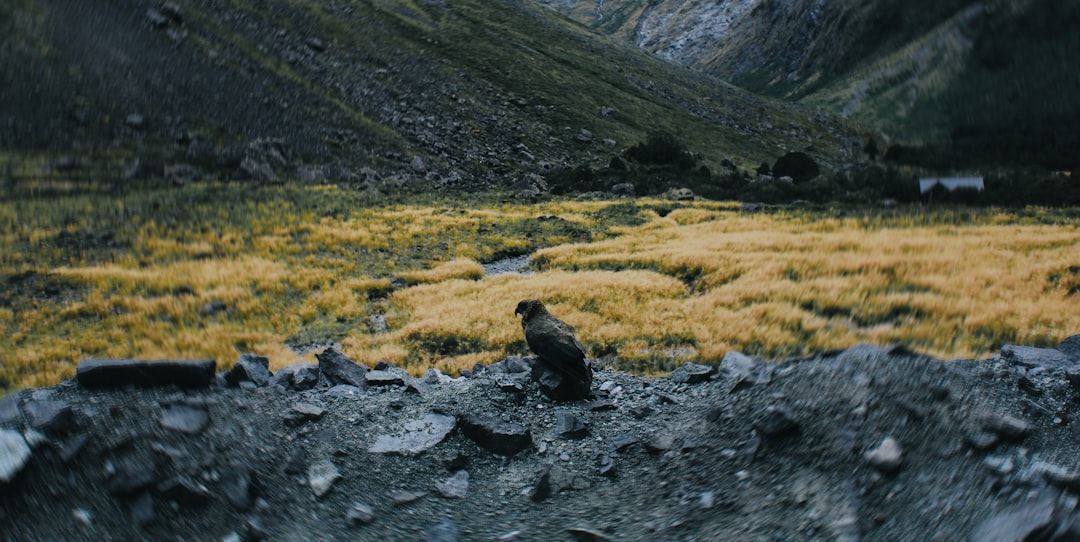 Josie's on a Vacation Far Away: A Solo Traveler's Journey & Tips