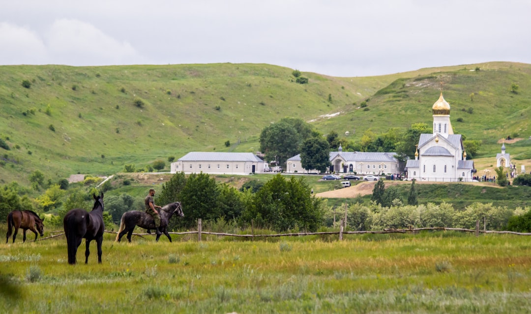 Kilchoan's Food Crisis: 20-Mile Journey for Hot Meals