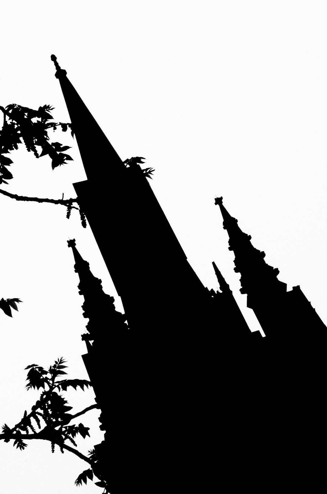 Kirkwood Roofer: Expert Storm Damage Repair & Installation Guide