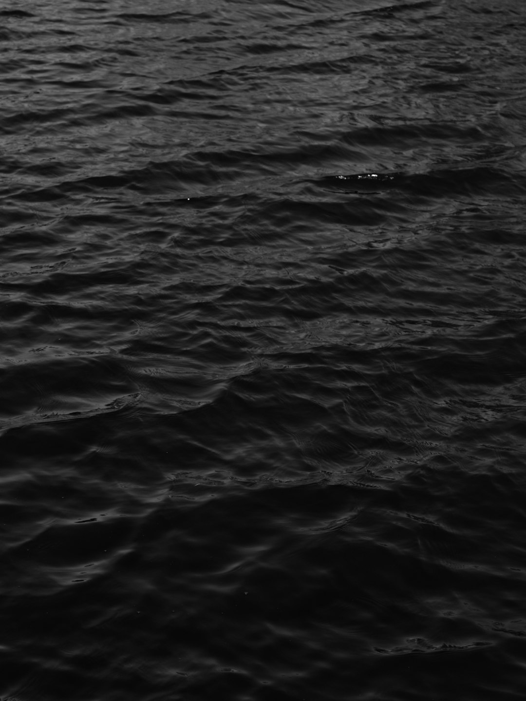 Lake of the Ozarks House Rentals for Vacation | Waterfront Homes & Family Fun