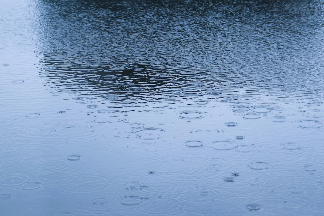 Leaking Roof Can I Claim on House Insurance? Expert Guide to Storm Damage & Repairs