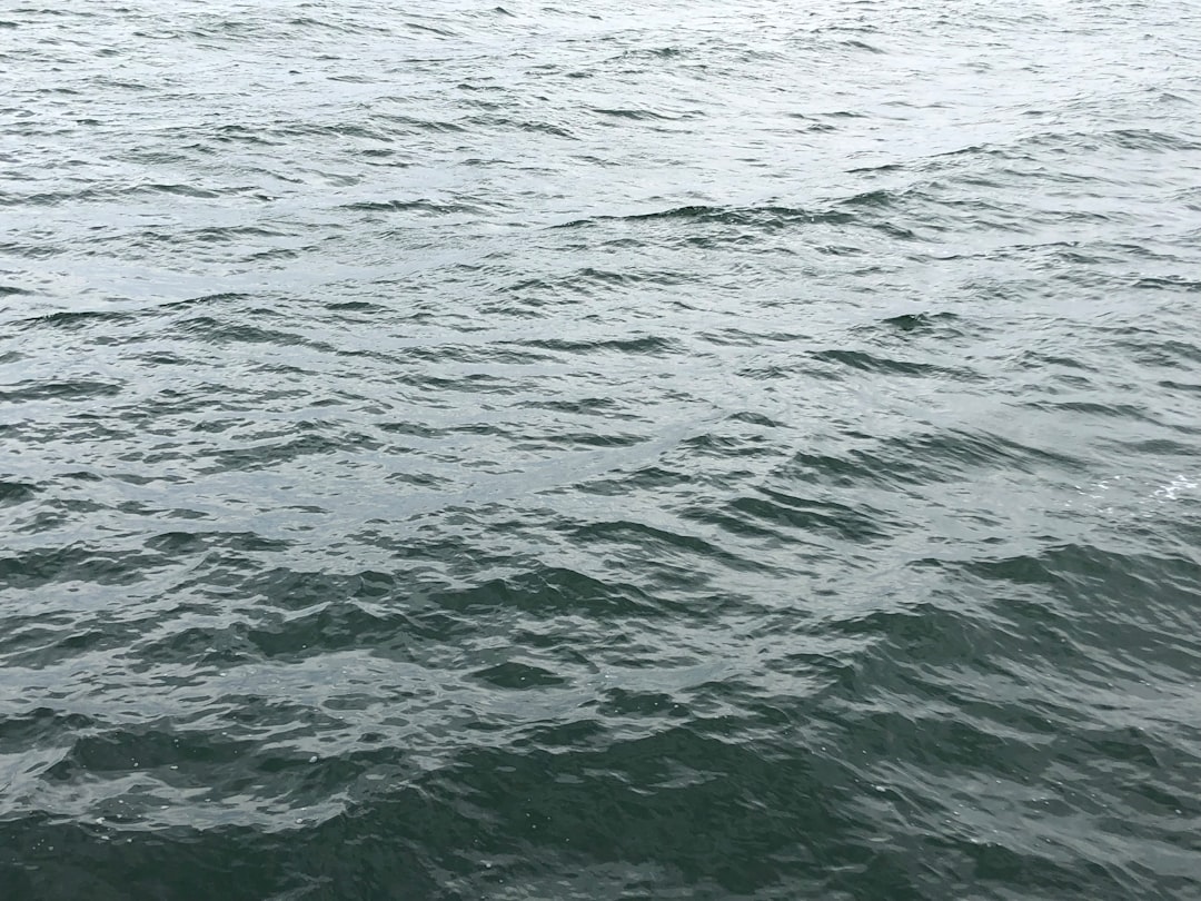 Liquid Life Vacation Rentals: Your Guide to Waterfront Luxury Stays