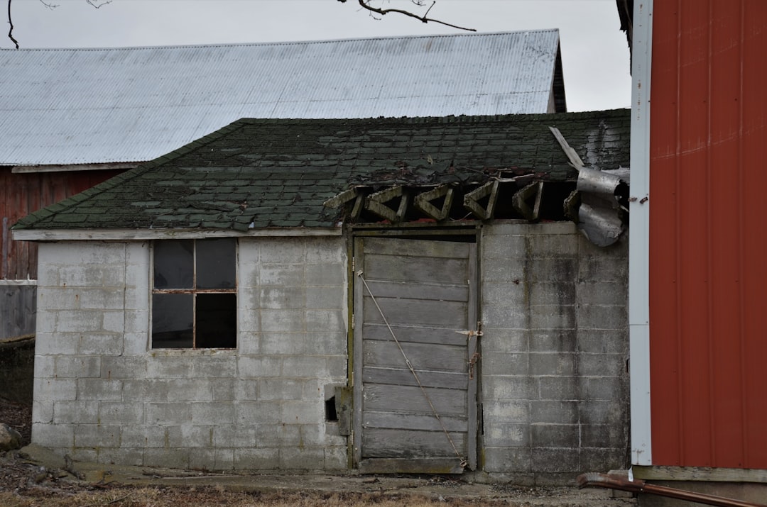 Local Roof Repair Near Me: Expert Solutions & Cost Guide