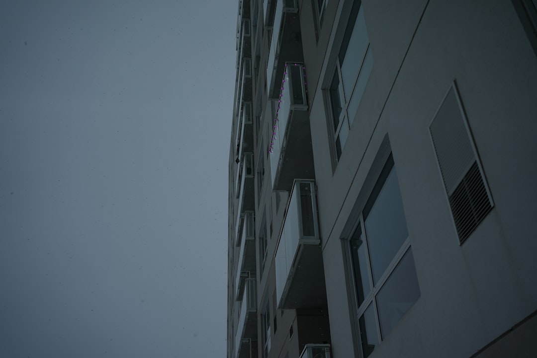 Making a Claim for Roof Damage: Expert Guide to Insurance & Storm Repair