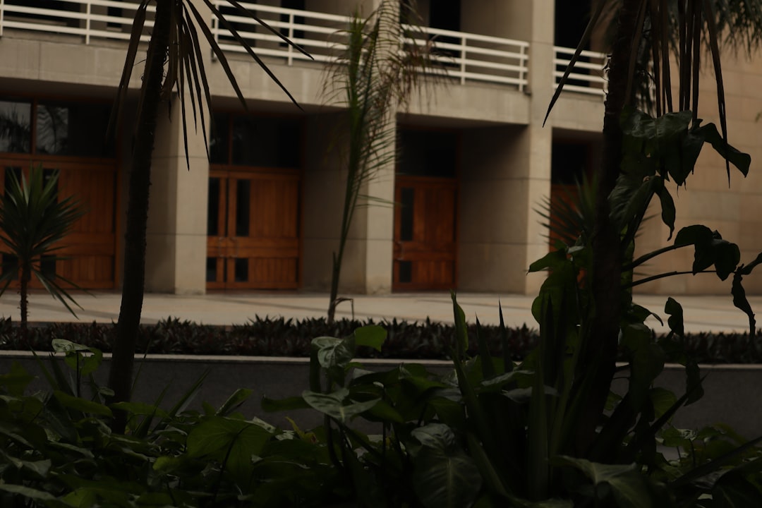 Marriott Vacation Club Waikiki: Your Ultimate Hawaii Timeshare Guide & Tips