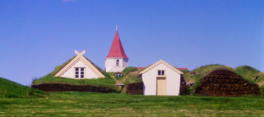 Mary National Lampoon's Christmas Vacation: Family Chaos & Festive Fun