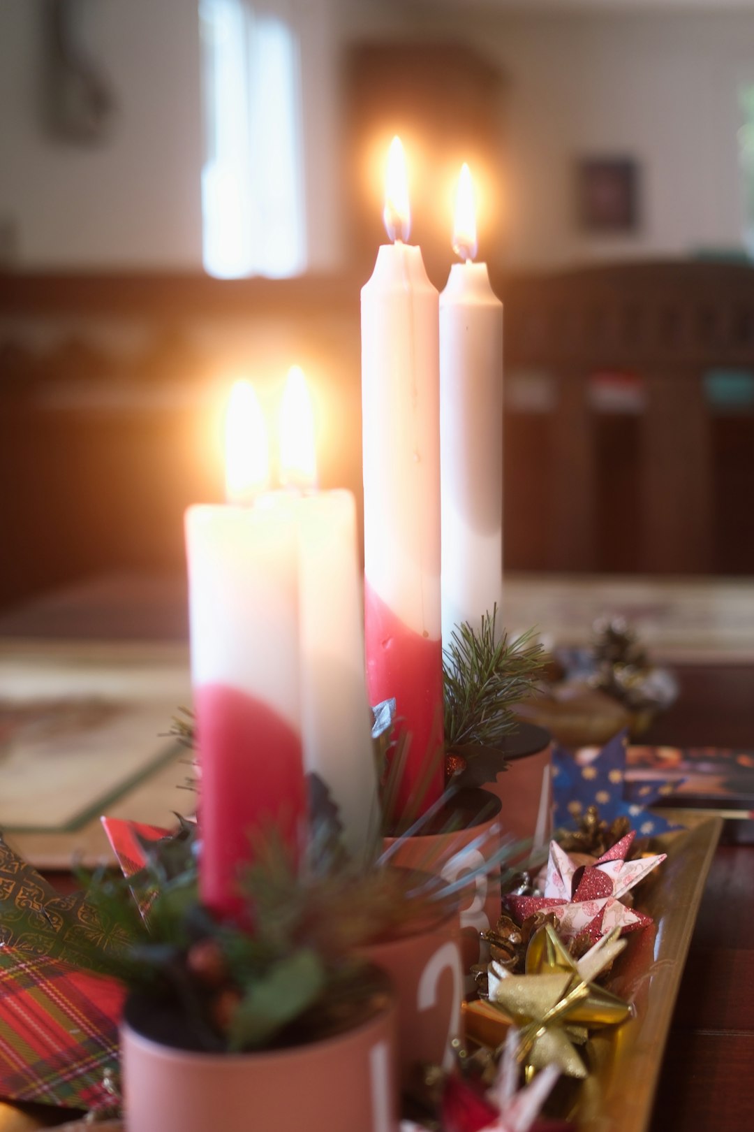 Mary National Lampoon's Christmas Vacation: Family Fun Guide