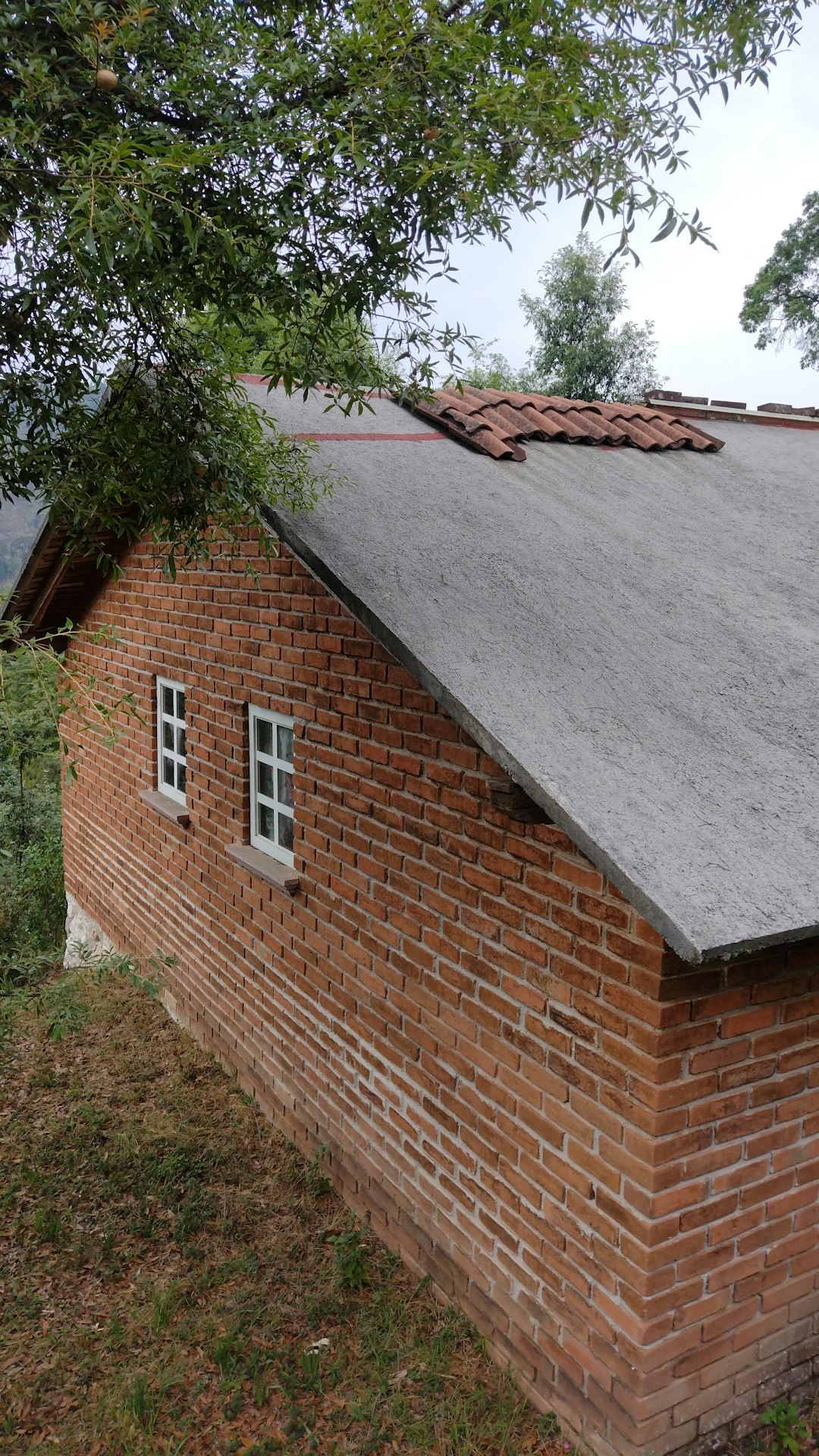 Membrane Roof Repair Guide: Expert Tips & Cost Savings