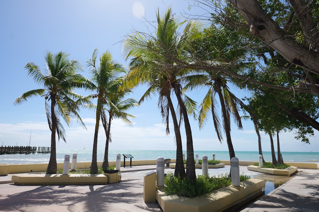 Miami Beach Vacation Rentals: Oceanfront Condos & Luxury Villas