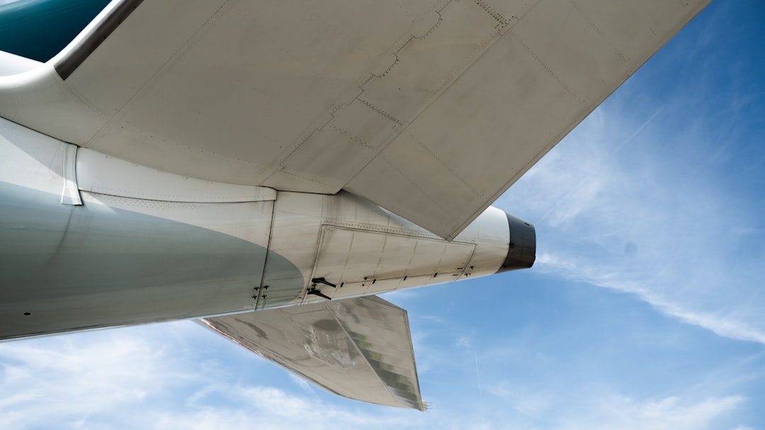 Monstera Travel Bag: Your Ultimate Foldable Adventure Companion