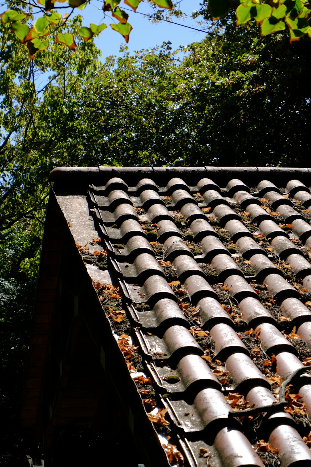 Mr Fix It Roofing: Expert Solutions for Leaks & Storm Damage